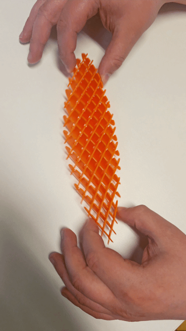 3D Printed Space Fidget Worm