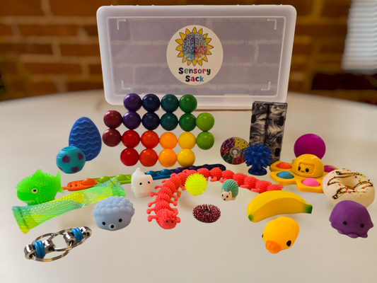 School Sensory Box Deluxe